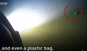 Phát hiện rác thải nhựa ở độ sâu 11km dưới đáy Thái Bình Dương