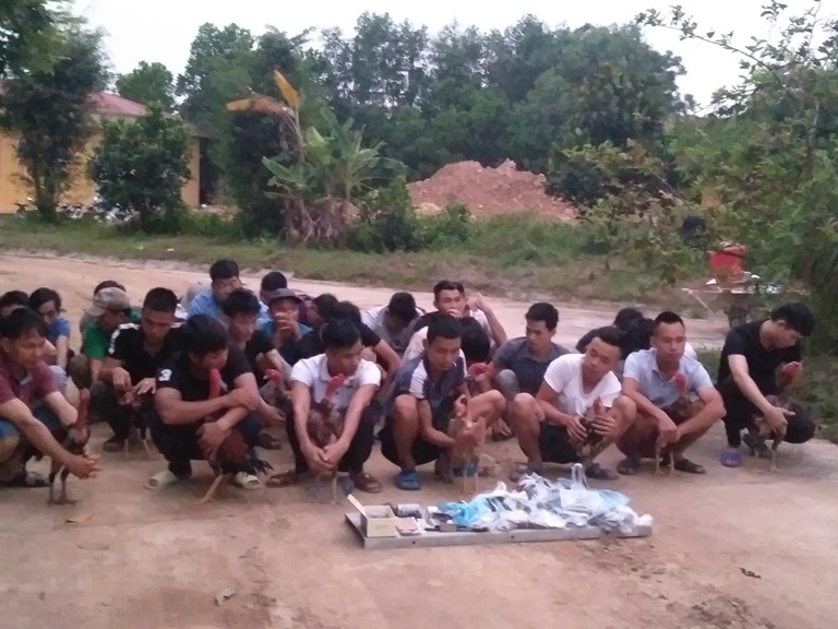 Bắt 32 đối tượng đá gà trên đồi cây bạch đàn