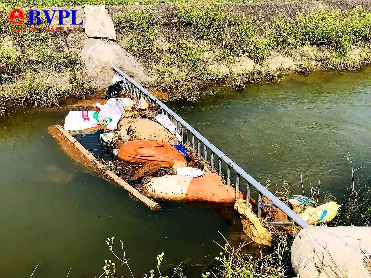 Hãi hùng phát hiện lợn mắc dịch tả châu Phi chết trôi trên kênh