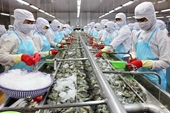Tập đoàn Thủy sản Minh Phú - Công ty chế biến, xuất khẩu “tôm” hàng đầu thế giới