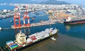 Công bố thông tin bất thường việc nhận chuyển giao hơn 75 cổ phần Cảng Quy Nhơn về sở hữu nhà nước