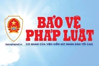 Điểm đơn thư bạn đọc Báo Bảo vệ pháp luật