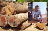Truy tố 25 bị can trong vụ trùm gỗ lậu Phượng “râu”