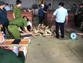 Truy tìm chủ nhân hơn 7 tấn ngà voi và vảy tê tê ở Hải Phòng