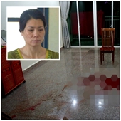 Kết luận điều tra vụ người phụ nữ đâm chết người tình trẻ tại chung cư Hoàng Anh Gia Lai