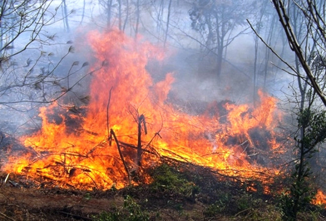Đốt rẫy để trồng hoa màu, ông cụ tử vong trong đám cháy
