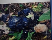Phát hiện thi thể đàn ông bí ẩn đang phân hủy trên đèo Bảo Lộc