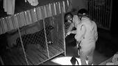 Trộm 2 con chó quý nặng gần 1 tạ, 4 “cẩu tặc” mang trả khổ chủ thì bị bắt