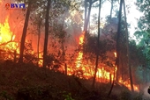 Tin thêm về một phụ nữ chết thảm khi chữa cháy rừng