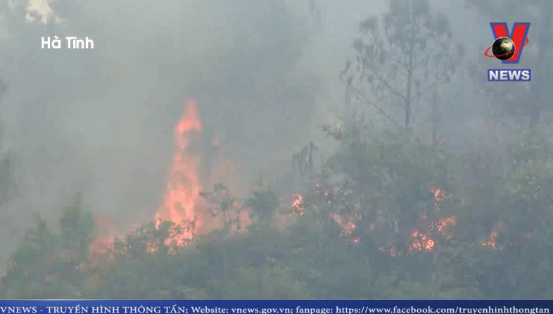 Khởi tố và bắt tạm giam đối tượng gây ra vụ cháy rừng tại Hà Tĩnh