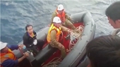 7 thuyền viên trên tàu cá bị đâm chìm được cứu trở về đất liền
