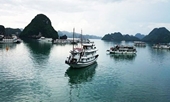 Đến Việt Nam, khách nước ngoài thích tới những địa điểm nào
