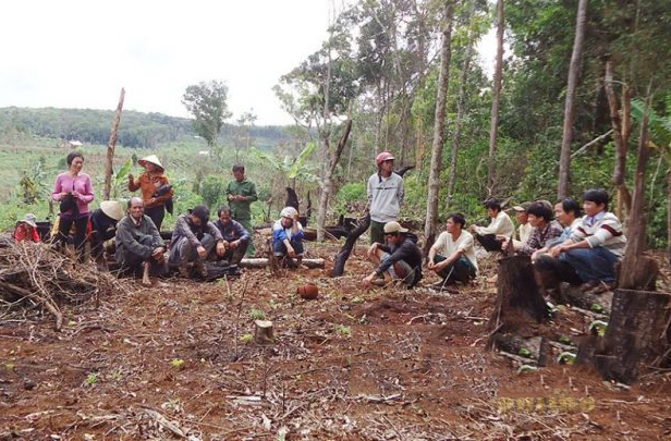 Lâm Đồng đau đầu với trên 7 000 dân di cư tự do