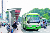 Thành phố Hồ Chí Minh giải ngân 494 tỷ đồng tiền trợ giá xe buýt