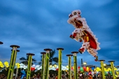 Mai hoa thung trên nước lần đầu tiên được biểu diễn ở Lễ hội lân sư rồng quốc tế Đà Nẵng 2019