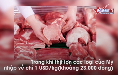 Hàng Mỹ dồn dập đổ về, giá rẻ chưa từng có