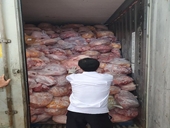 40 tấn thịt heo, gà nhiễm dịch tả heo châu Phi trong cơ sở sản xuất giò chả