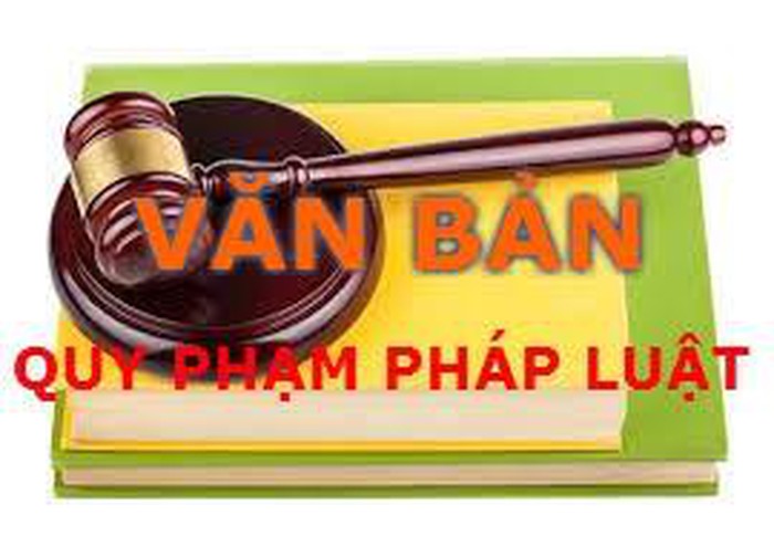 Chính phủ, Thủ tướng Chính phủ ban hành 11 văn bản QPPL trong tháng 7 2019