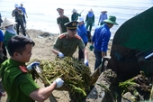 Thanh Hóa phát động ra quân làm sạch môi trường biển