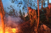 Đốt dọn thực bì cháy lan, 30ha rừng bị thiêu rụi