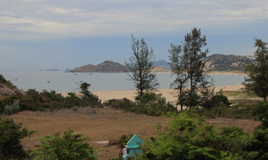 29 dự án chậm triển khai, đất bỏ hoang cả chục năm ở Bình Định