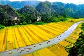 Năng lực cạnh tranh lữ hành và du lịch của Việt Nam tăng 4 bậc