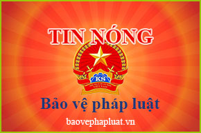 Giao xe cho bạn lái thử tông chết người, cả hai bị truy tố