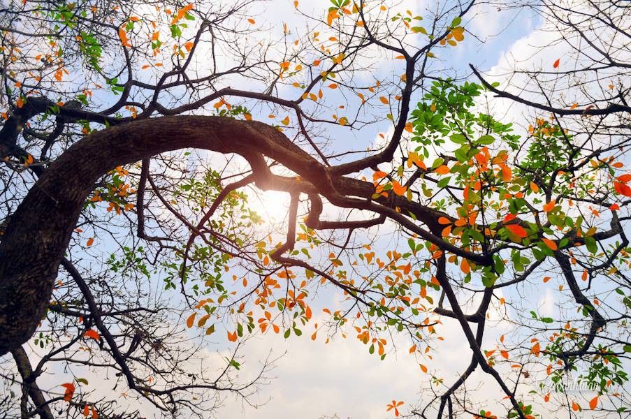 Hà Nội và các tỉnh Bắc Bộ nắng nóng, Nam Bộ mưa dông