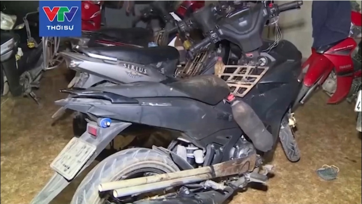 Triệt phá đường dây trộm và tiêu thụ khoảng 100 tấn chó ở Thanh Hóa