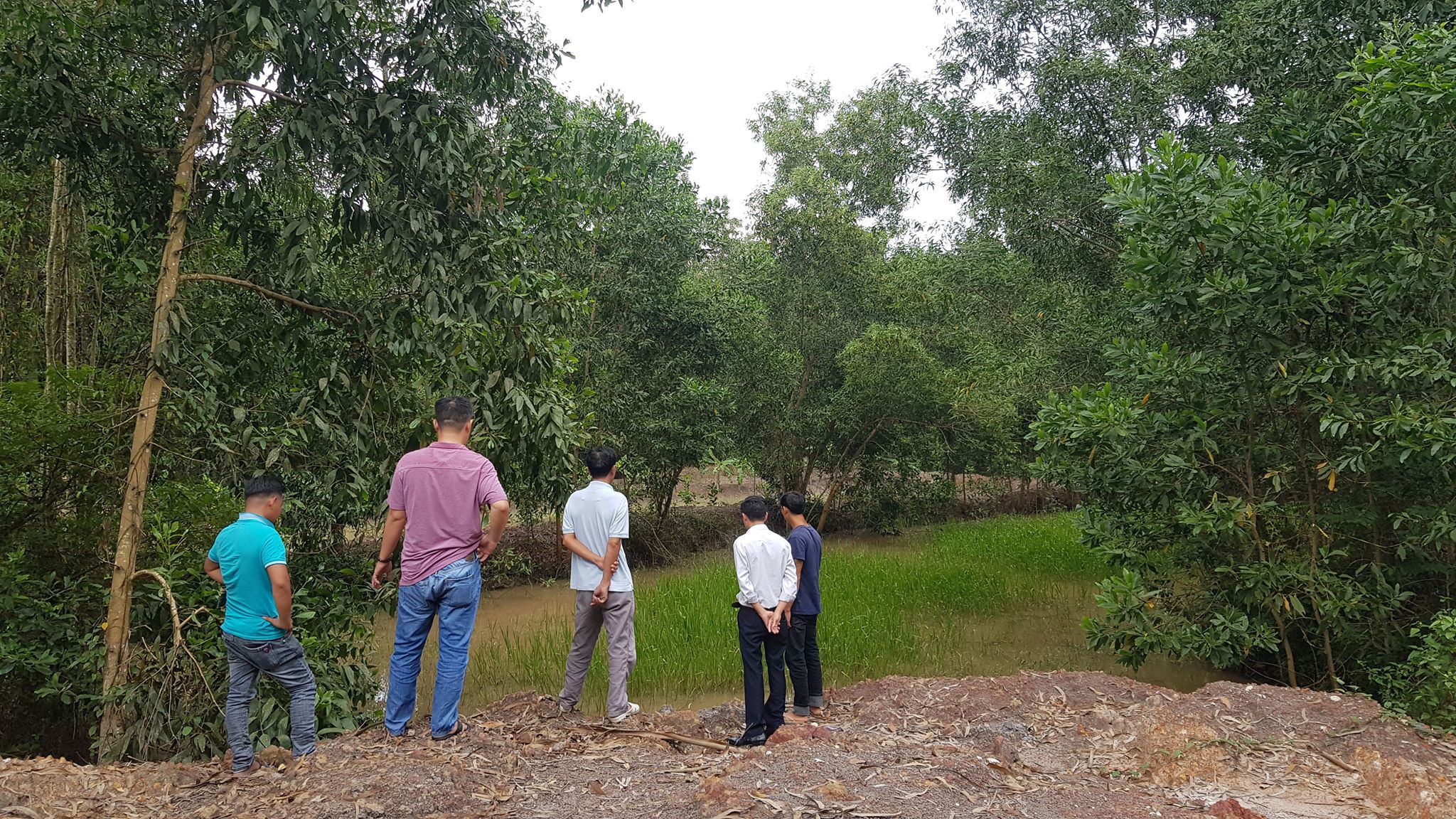 Một mình sang nhà ông nội, bé trai 2 tuổi rơi xuống ao tử vong