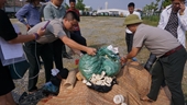 Hà Nội tiêu hủy 82 kg ngà voi