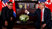Triều Tiên và Mỹ tổ chức Hội nghị Thượng đỉnh lần thứ 3 vào ngày 5 10