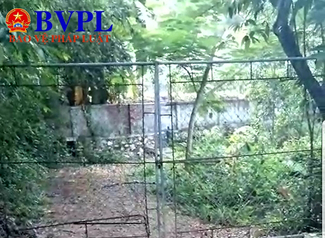 Bi hài chuyện dân phải trèo tường để vào đất trồng rừng