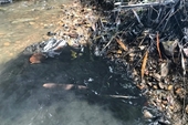 Vụ nước sạch Sông Đà bốc mùi khó chịu Tiếp tục lấy thêm 10 mẫu nước để xét nghiệm