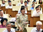 Bà Nguyễn Thị Quyết Tâm bật khóc khi tranh luận về việc tăng giờ làm thêm