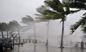 Áp thấp nhiệt đới với gió giật cấp 9 có khả năng mạnh lên thành bão