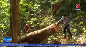 Nguyên Trạm trưởng bảo vệ rừng tại Quảng Bình bị khởi tố
