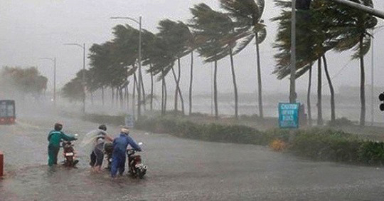 77 tàu thuyền đứt neo trôi dạt do bão số 5