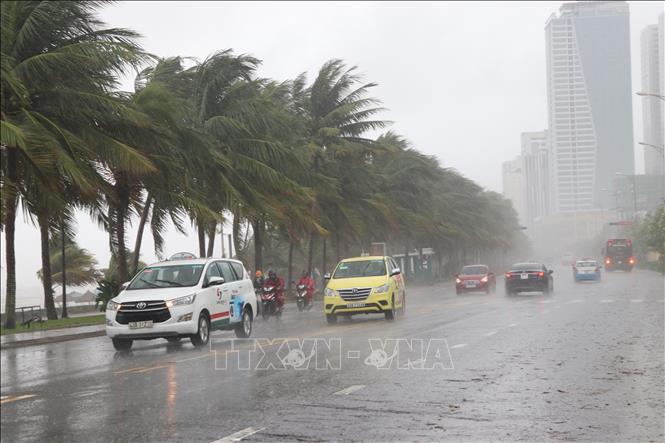 Bão số 5 gây mưa gió lớn, hàng loạt cây xanh bị gãy đổ tại Đà Nẵng