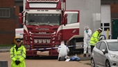 31 đàn ông, 8 phụ nữ chết trong xe tải đông lạnh ở Anh là người Việt Nam
