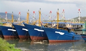 Tàu cá 67 nằm bờ, ngư dân và ngân hàng cùng “mắc cạn”