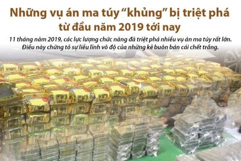 Những vụ án ma túy khủng bị triệt phá từ đầu năm 2019 tới nay