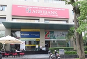 Giám đốc chi nhánh Agribank giải ngân vốn cho doanh nghiệp “ma”