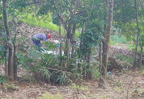 Đã xác định được danh tính thi thể không đầu ở Bình Phước