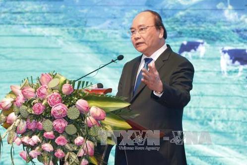 Tạo động lực mới đưa đất nước phát triển nhanh, bền vững