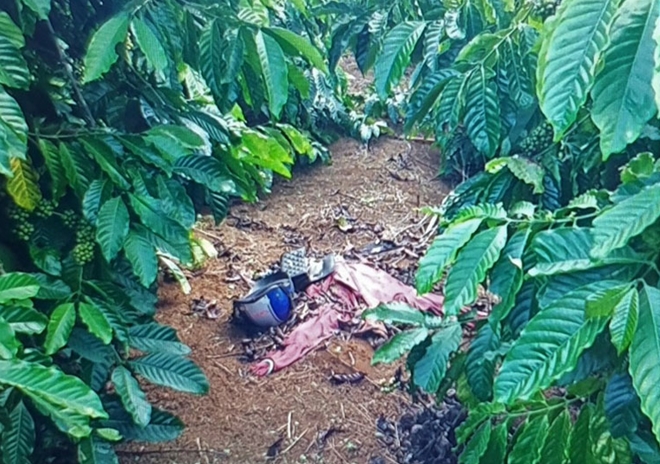 Diễn biến mới vụ giết người phụ nữ giấu thi thể trong rẫy cà phê