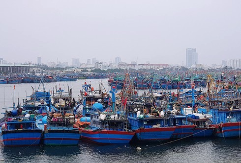 Khẩn trương kêu gọi tàu thuyền ra khỏi vùng nguy hiểm của bão số 7