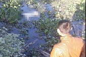 Đã tìm thấy thi thể 2 vợ chồng trong vụ chìm tàu chở gạch trên sông Văn Úc