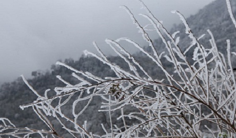 Miền Bắc nhiệt độ giảm sâu, xuất hiện băng giá