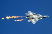 NÓNG Siêu tiêm kích Su-57 của Nga rơi